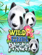 ฟุตบอล ส วิ ต เซอร์ แลนด์เว็บ คาสิโนออนไลน์อันดับ1